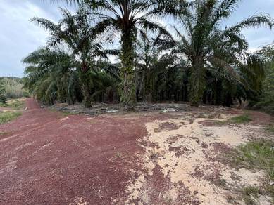 Agricultural-Land-for-sale-Segamat-Johor