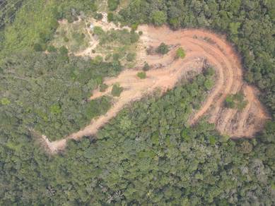 Tanah Kebun untuk disewa