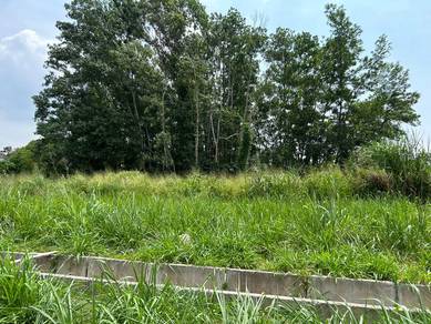 Agricultural-Land-for-rent-Kulim-Kedah