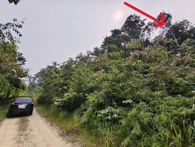 Agricultural-Land-for-auction-Kemaman-Terengganu