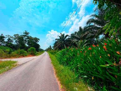 Pontian 8.3 acres agriculture land