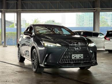 Lexus NX250 LUXURY Grey Color Rare Low Mileage