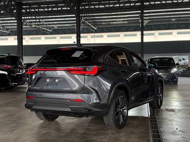 Lexus NX250 LUXURY Grey Color Rare Low Mileage 14k
