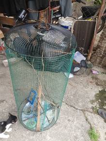   sangkar besar burung bebas