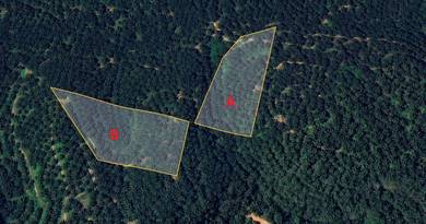 Agricultural-Land-for-sale-Kuala-Kangsar-Perak