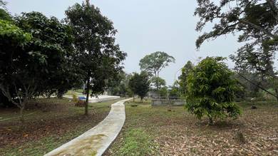 Tanah 1 ekar untuk dijual