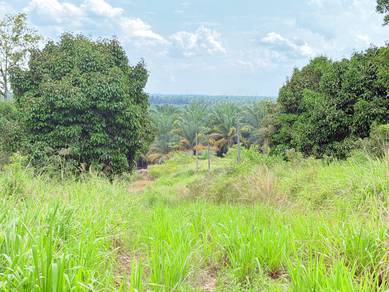 Kluang Jalan Paloh 5.87 acre Industrial Land Can Build Factory 300k/ac