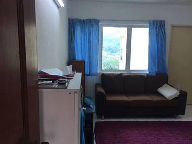 Taman Pekaka Block 33