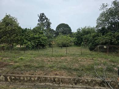 tanah dusun dan rumah tepi jalan besar dekat pekan 