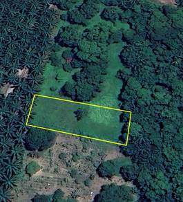 Tanah Pertanian 0.3425 Ekar Untuk Disewa – Changkat Jering, Taiping