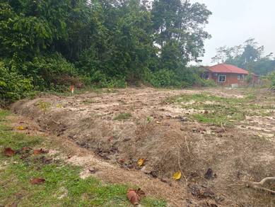 Tapak Rumah 11,861 kakipersegi Gadong Berhampiran gunung Datuk