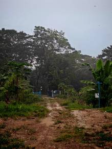 tanah kebun di Tampin