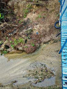 Tanah pulau sebang/ tampin