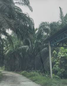 Agricultural-Land-for-sale-Klang-Selangor