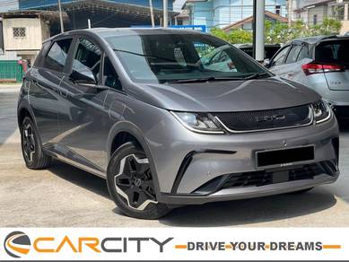 2023 Byd DOLPHIN DYNAMIC 40KM FSR
