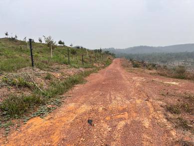 Freehold Agriculture Land For Sale At Rompin,Bahau,Negeri Sembilan