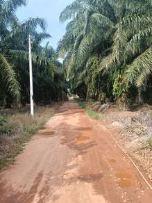 Agricultural-Land-for-sale-Sepang-Selangor