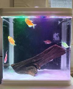 Aquarium Set