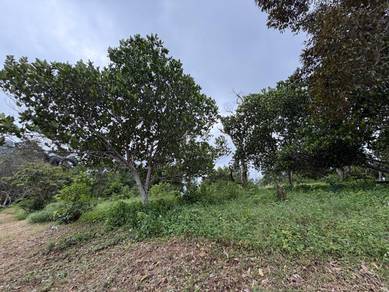Agriculture Land Sungai Petani Kedah near AIMST University