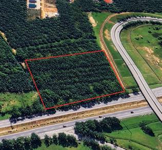 Tanah Sawit 2 ekar SEBELAH PLUS HIGHWAY TOLL BKT GAMBIR, Tangkak Johor