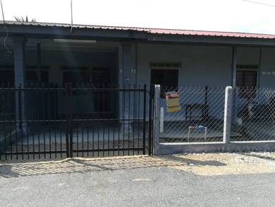 Pekan News: Rumah untuk diduduki di Kg Pulau Tambun!