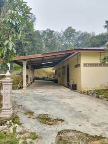 Rumah kampung untuk disewa di lenggeng