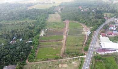 Agricultural-Land-for-sale-Gurun-Kedah