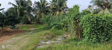 Agricultural-Land-for-sale-Kapar-Selangor