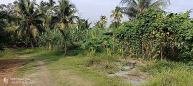 Tanah Tapak Rumah 70 X 90 Di Bukit Kerayong Kapar