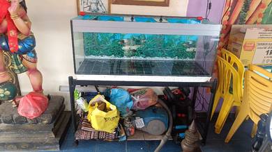aquarium 