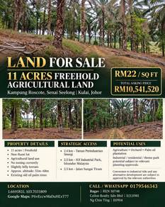 Agricultural-Land-for-sale-Senai-Johor
