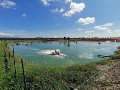 58 Acre Aquaculture Farm for sale (Tawau)