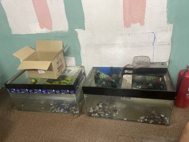 Aquarium