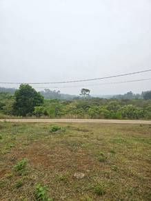 Tanah Lot Banglo di Rtp Bukit Goh, Kuantan Untuk Dijual