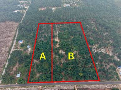 Oil Palm land Parit Sonto 86100 Ayer Hitam