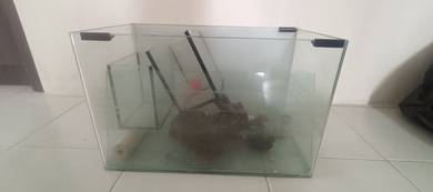1x Akuarium 30cm , 3x Akuarium 15cm 