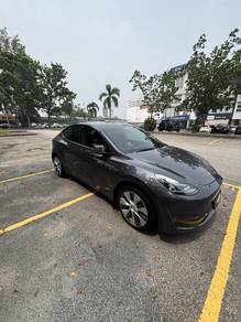 Tesla MODEL Y 10.0 LONG RANGE AWD (A)