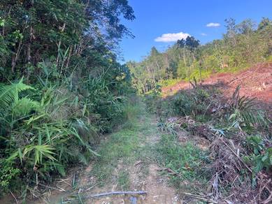 Tanah Kebun Getah di Limau Kasturi Gua Musang