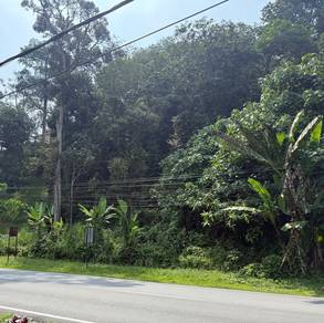 Tanah 1ac Tepi Jalan Pangsun