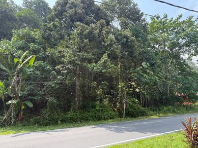 Tanah 1ac Tepi Jalan Pangsun