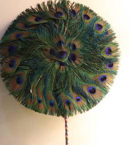 Indian Blue Peacock feather bulu merak 