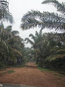 Sedenak  Kulai Land For Sales