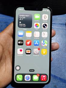 ip 12 pro. 256gb bh 100%