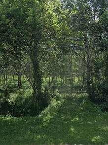 Residential-Land-for-sale-Jitra-Kedah