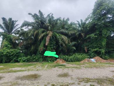 tanah untuk dijual sebelah/ belakang masjid kg  koh