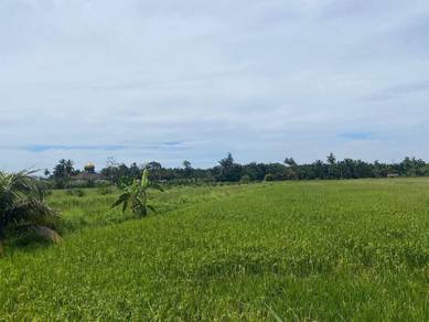 Agricultural-Land-for-sale-Selinsing-Perak
