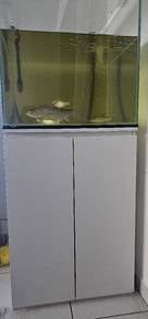 Aquarium 