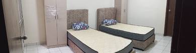 Bilik Sewa Palm Spring @ Damansara