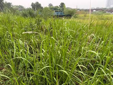 Kempas Commercial Land for Rent