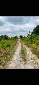 Agricultural-Land-for-rent-Klang-Selangor